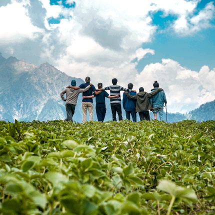Groups tours