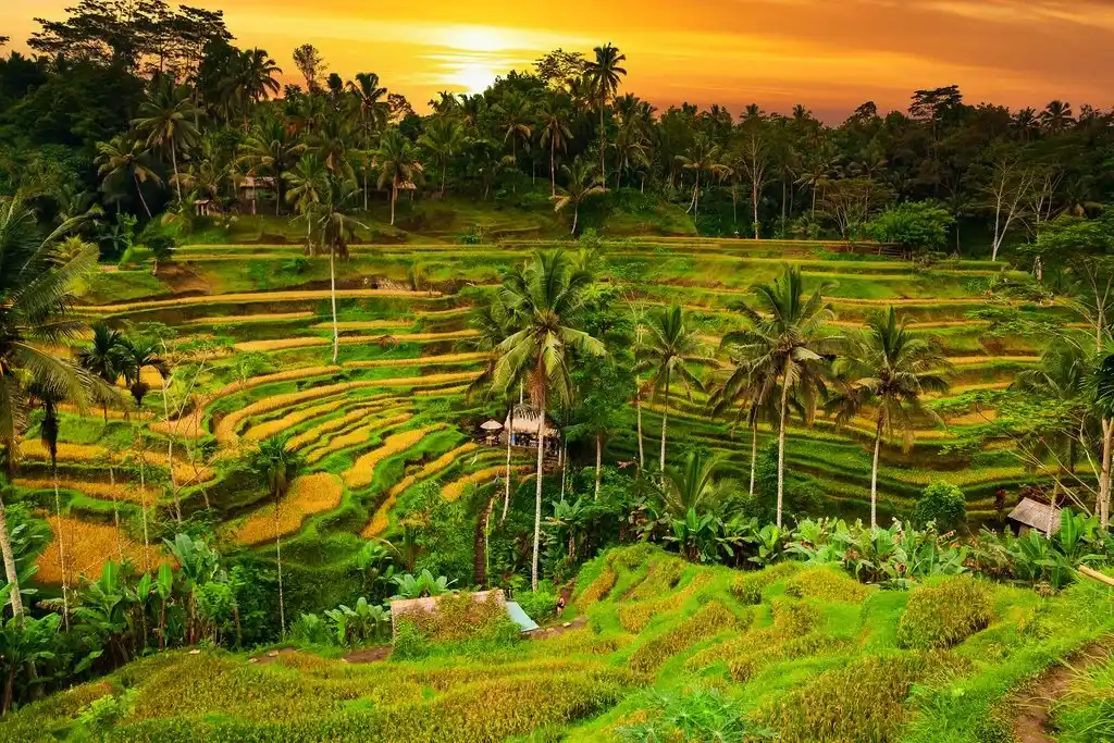 Bali Ubud