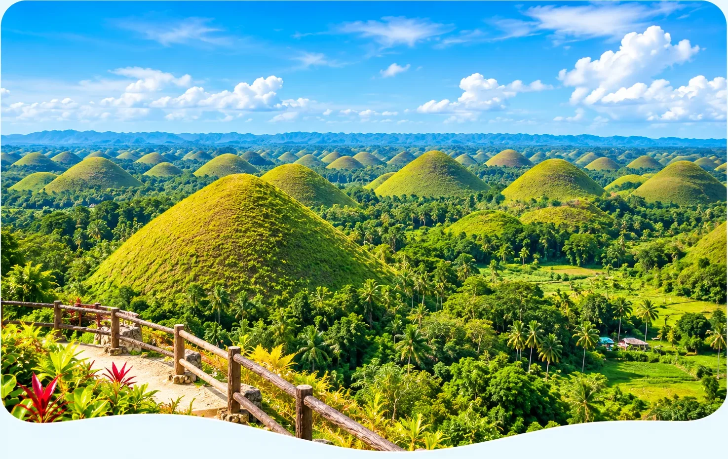 Bohol
